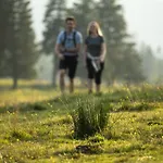 Rogla - Rogla