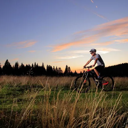 Rogla – Rogla 3* Resnik