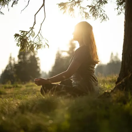 Rogla - Rogla Hotel 3*