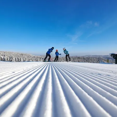 Rogla - Rogla