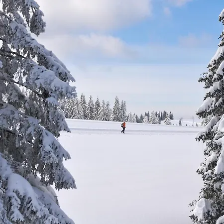 Rogla – Rogla Hotel 3*