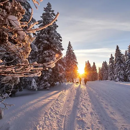Rogla - Rogla Hotel Resnik