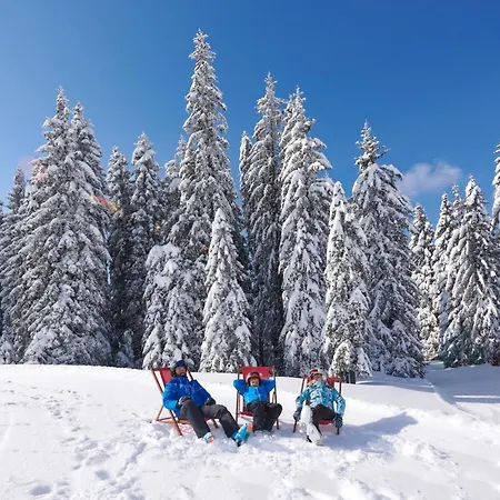 Rogla – Rogla Resnik