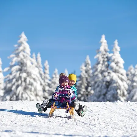 Rogla – Rogla Hotel 3*