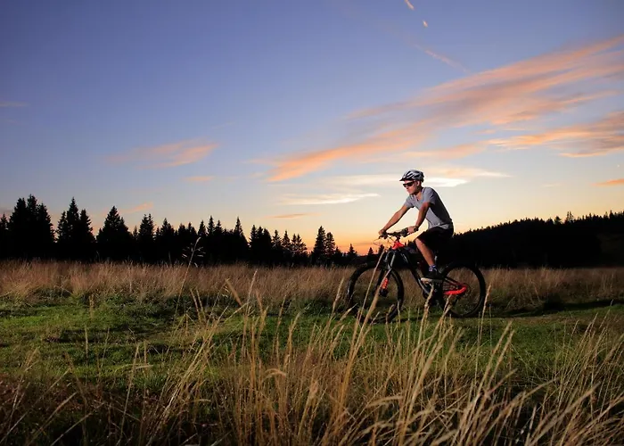 Rogla - Rogla 3* Resnik