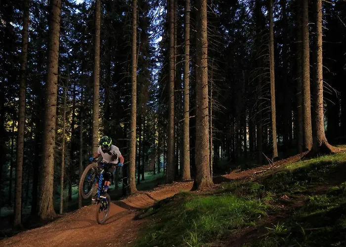 Hotel Rogla - Rogla 3*