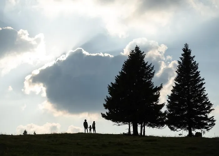 Hotel Rogla - Rogla 3*