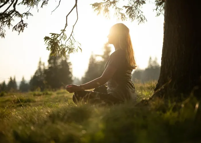 Rogla - Rogla Hotel 3*