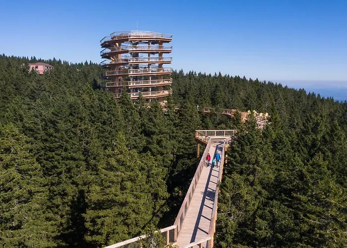 Rogla - Rogla Hotel 3*