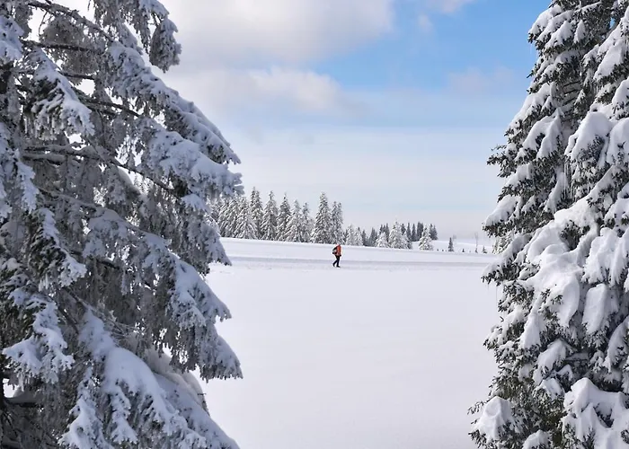 Rogla - Rogla Hotel 3*