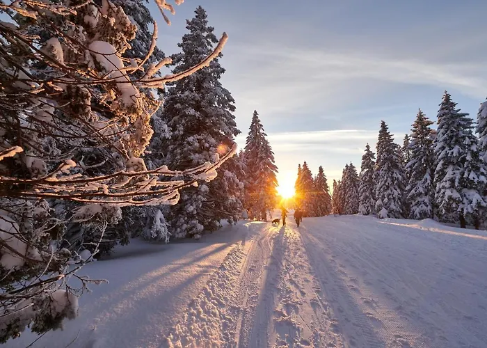 Rogla - Rogla Hotel Resnik