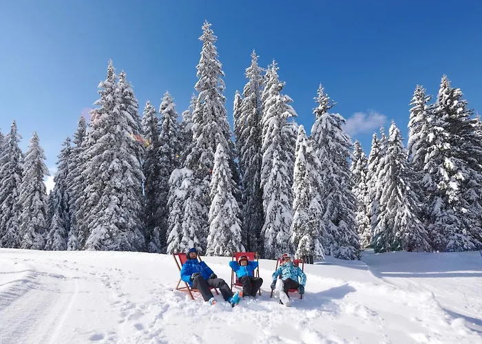 Rogla - Rogla Resnik