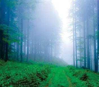 Rogla - Rogla Hotel 3*